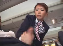 �X�`�����[�f�X�̎�R�L