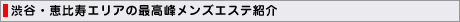 �a�J�E�b����G���A�̍ō��􃁃��Y�G�X�e�Љ�