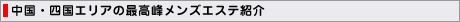 �����E�l���G���A�̍ō��􃁃��Y�G�X�e�Љ�